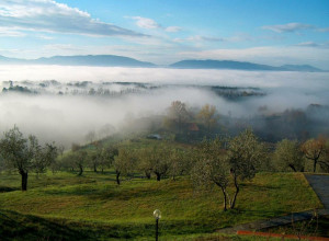 image12 Il Poggio Alle Ville