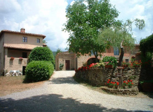 image22 Il Poggio Alle Ville