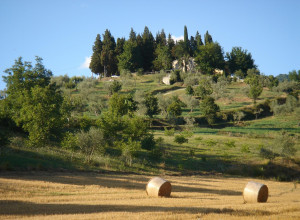 image2 Il Poggio Alle Ville