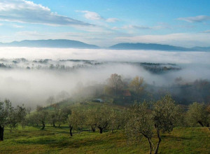 image15 Il Poggio Alle Ville