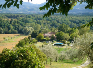 image18 Il Poggio Alle Ville