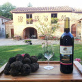 Il Poggio Alle Ville