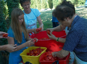 image7 Il Poggio Alle Ville
