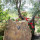 preview image14 giardino