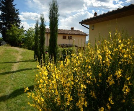 Land Ferienhaus I 3 Cipressi - Arezzo