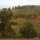 preview image2 dintorni
