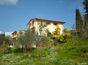 image4 I 3 Cipressi