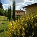I 3 Cipressi