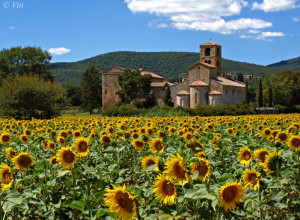 image9 Casale Il Colombaio Di Toiano