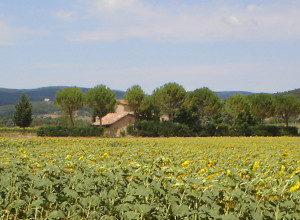 image11 Casale Il Colombaio Di Toiano