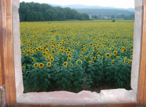 image28 Casale Il Colombaio Di Toiano
