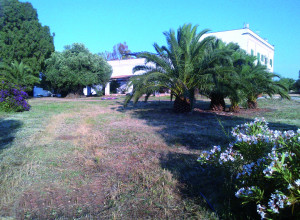 image19 Masseria La Grave