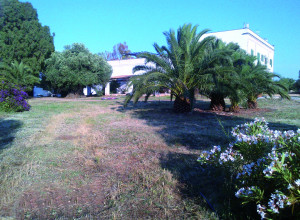 image3 Masseria La Grave