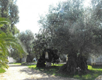 masseria la grave