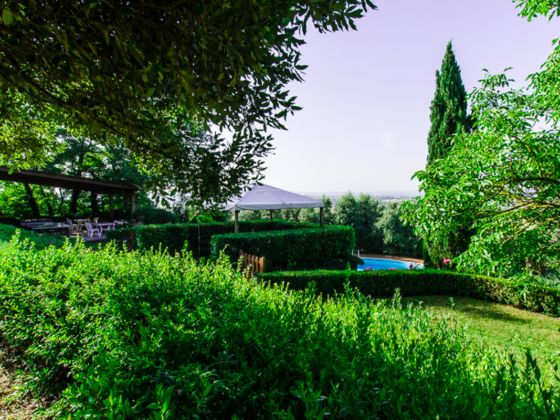 La Castellina - foto 18