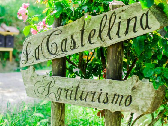 La Castellina - foto 32
