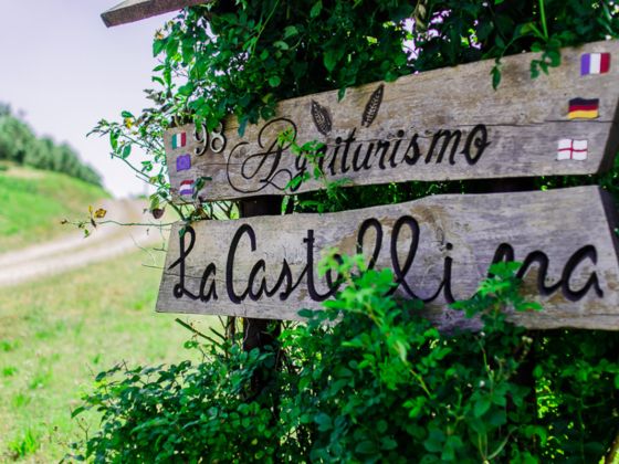 La Castellina - foto 33