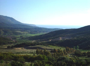 image12 Fighezia