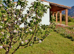 image5 Fighezia