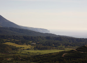 image15 Fighezia