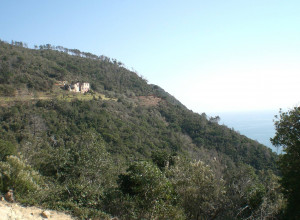 image9 Della Barcareccia