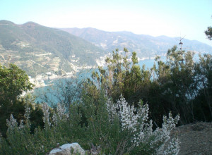 image13 Della Barcareccia