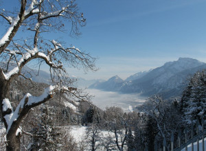 image16 Maso Rauter