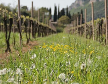 casalmenini - corte patrizia