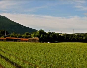 casalmenini - corte patrizia