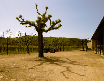 casalmenini - corte patrizia