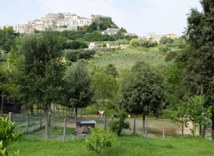 image22 L'arca