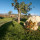 preview image12 giardino