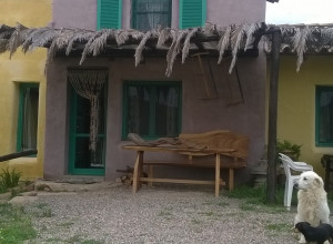 image17 Ciccilanu