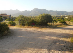 image7 Ciccilanu