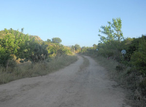 image6 Ciccilanu