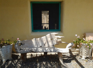 image15 Ciccilanu