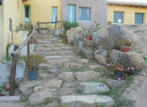 image19 Ciccilanu