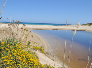 image4 Con Piscina La Piana Degli Ulivi