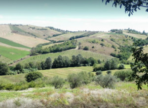 image4 Piccola Terra