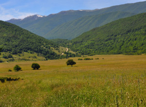 image3 La Collina Di Peppino