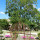 preview image7 giardino