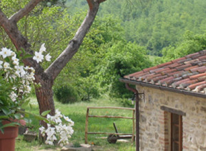 image13 Pian Di Marte Ospitalita' Rurale