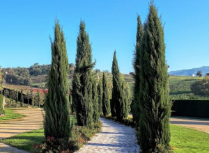image1 Villa Santa Caterina