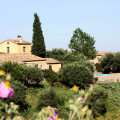 Le Puzelle