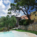 Uliveto Saglietto