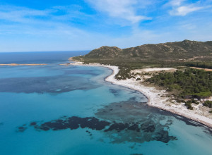 image11 Piperedda