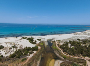 image20 Piperedda