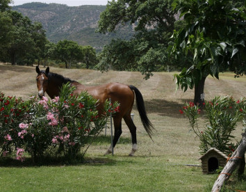 Borgo di Campagna