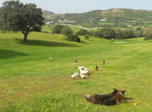 image3 Borgo Di Campagna