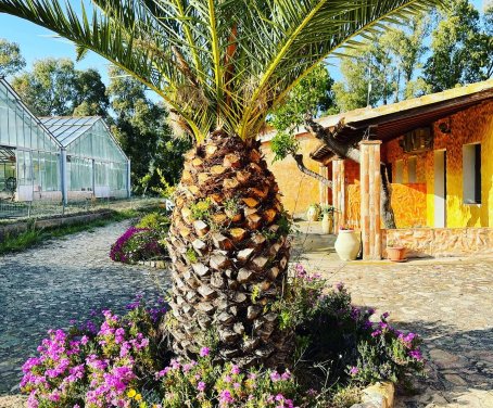 Agriturismo Bettoli Maria Paola - Castiadas